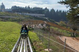 pai e filho gostam de dirigir na montanha-russa alpina foto