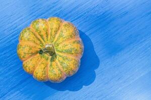 laranja e verde cabaça em uma brilhante azul fundo foto