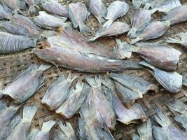 seco peixe dentro a mercado foto