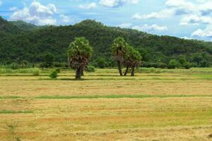 agricultores arado a solo com tratores para preparar a Próximo temporadas cultivo e otimizar a solo para cultivo dentro uma configuração com azul céu e montanhas Como uma lindo pano de fundo. foto