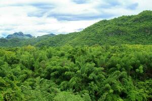 rios e bambu florestas este Veja lindo dentro natureza estão a vistas para levando fotos em a trem. conservação do natureza e ecoturismo é uma turista atração dentro kanchanaburi.