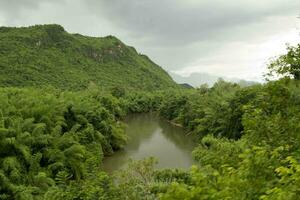 rios e bambu florestas este Veja lindo dentro natureza estão a vistas para levando fotos em a trem. conservação do natureza e ecoturismo é uma turista atração dentro kanchanaburi.