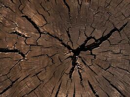 madeira fundo textura, velho de madeira superfície foto