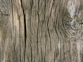 madeira fundo textura, velho de madeira superfície foto