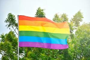 arco Iris bandeira este representa gênero diversidade e lgbtq, vários colori bandeiras, 7 colori bandeiras contra a fundo do a floresta. foto