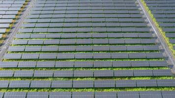 solar poder Fazenda a partir de zangão vista, verde energia tecnologia foto