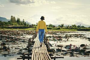 fêmea turista é caminhando em uma bambu ponte dentro uma rio com uma lótus foto