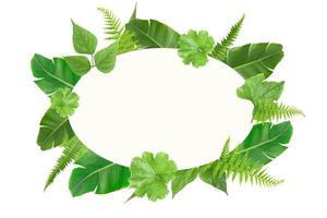 modelo de quadro de folhas ovais tropicais verdes