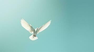 gaivota vôo dentro a azul céu, lindo foto digital cenário