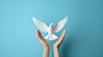 branco papel pomba dentro fêmea mãos em azul fundo. liberdade e Paz conceito foto
