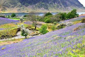 turistas e os sinos azuis de Rannerdale foto