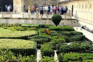 jaipur, índia - 11 de novembro de 2019, pessoas nos jardins do palácio de âmbar foto