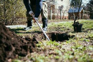 uma homem é plantio uma jovem árvore. a agricultor é escavação a terra com uma pá para uma pequeno plantinha. a conceito do proteção do a meio Ambiente e ecologia foto