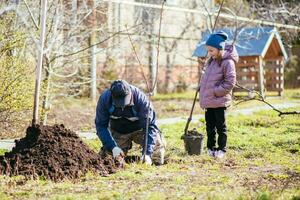 uma pai e dele filha estão plantio uma fruta árvore foto