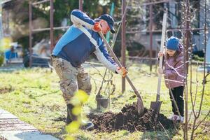 feliz pai e filha plantio uma Novo árvore dentro a Vila dentro Primavera foto