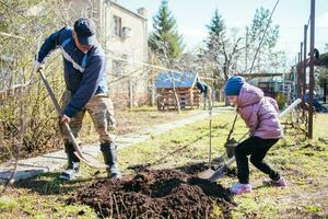 feliz pai e filha plantio uma Novo árvore dentro a Vila dentro Primavera foto