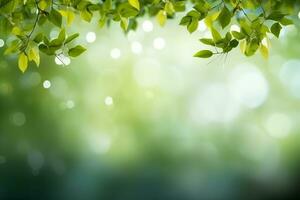 verde folhas, borrado fundos com bokeh, livre espaço e natureza.generativa ai. foto