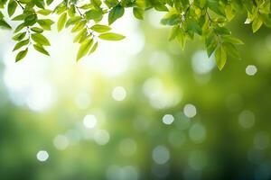 verde folhas, borrado fundos com bokeh, livre espaço e natureza.generativa ai. foto