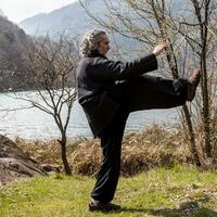 maduro homem praticando tai chi disciplina ao ar livre foto