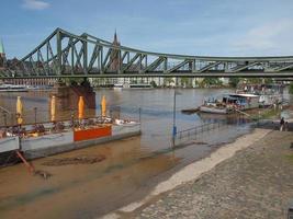 inundação do rio principal em frankfurt am main foto