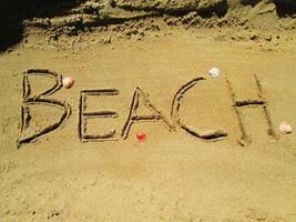 de praia areia - conchas do mar foto