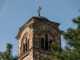 st. marca igreja, Belgrado - campanário - pinho árvore dentro a primeiro plano foto