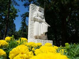 monumento para a desconhecido soldado - baixo ângulo tiro foto