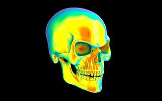 Bravo crânio - lado Visão - calor visão visual efeito foto