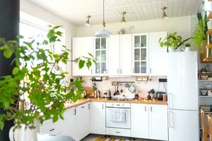 luz branco moderno rústico cozinha decorado com em vaso plantas, estilo loft cozinha utensílios. interior do uma casa com plantas de casa foto