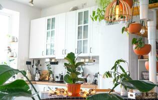 a geral plano do uma luz branco moderno rústico cozinha com uma modular metal Escadaria decorado com em vaso plantas. interior do uma casa com plantas de casa foto