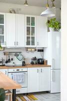 luz branco moderno rústico cozinha decorado com em vaso plantas, estilo loft cozinha utensílios. interior do uma casa com plantas de casa foto