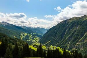 verde vale dentro austríaco Alpes entre montanhas coberto com floresta foto