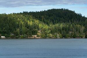 Forst coberto ilha dentro a pacífico oceano perto Canadá foto