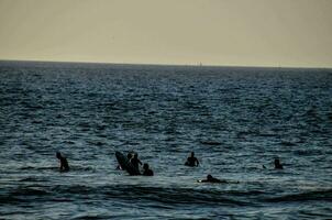 pessoas natação dentro a mar foto