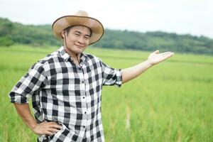 ásia homem agricultor desgasta chapéu, xadrez camisa, pose mão em cintura e faço mão gesto para presente às arroz campo. conceito, agricultura ocupação.tailandês agricultor. trabalhando com natureza. orgânico agricultura foto