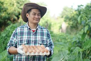 bonito ásia homem agricultor detém bandeja do ovos às jardim. conceito, orgânico agrícola agricultura, agricultores produzir saudável eco Comida. melhor Comida durante mau economia. Entrega para lar. foto