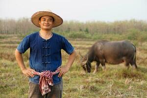 bonito ásia homem agricultor desgasta chapéu, azul camisa, colocar mãos em cintura, carrinhos às animal Fazenda. conceito, pecuária.tailandês agricultores levantar e levar Cuidado búfalos Como econômico e exportação animais. foto