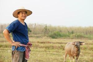 bonito ásia homem agricultor desgasta chapéu, azul camisa, colocar mãos em cintura, carrinhos às animal Fazenda. conceito, pecuária.tailandês agricultores levantar e levar Cuidado búfalos Como econômico e exportação animais. foto