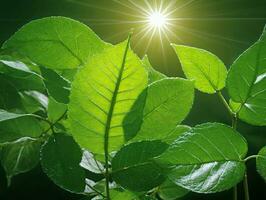 uma plantar com verde folhas e a Sol brilhando dentro a fundo. ai gerado foto