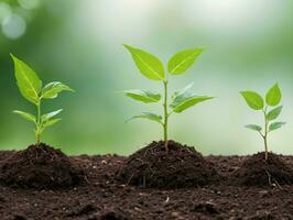 três jovem plantas crescendo dentro solo. ai gerado foto