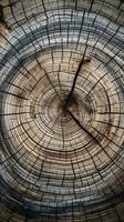 uma fechar-se Visão do uma árvore tronco exibindo Está lindo e intrincado circular padronizar ai gerado foto