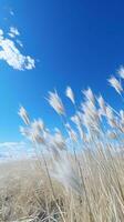 uma dourado campo do alta seco Relva debaixo uma Claro azul céu ai gerado foto