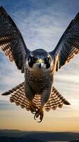 uma majestoso pássaro subindo através a céu com Está magnífico asas estendido ai gerado foto
