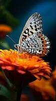 uma vibrante borboleta empoleirado em uma delicado flor pétala ai gerado foto