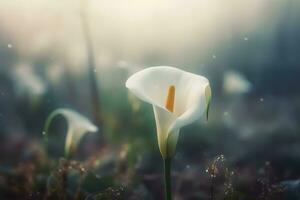 calla lírio flores dentro botânico jardim. neural rede ai gerado foto