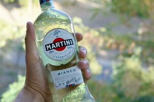garrafa do Vermute martini rossi dentro masculino mão em uma verde árvores fundo foto