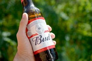 garrafa do Budweiser broto Cerveja dentro masculino mão em uma verde árvores fundo foto