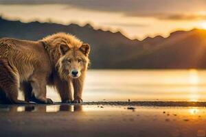 uma leão e uma Lobo em pé em a de praia às pôr do sol. gerado por IA foto