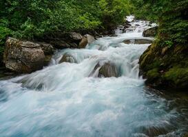 sereno em cascata águas no meio exuberante bosques cativante natural panorama com fluindo rio, cachoeira, e exuberante floresta. foto