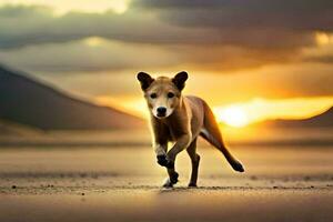 uma cachorro corrida em a de praia às pôr do sol. gerado por IA foto